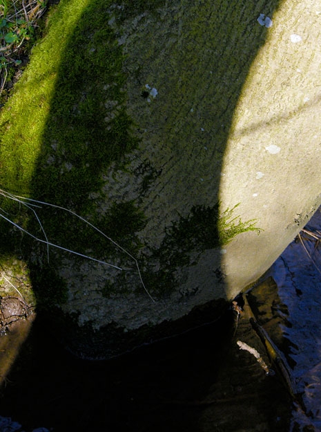 Creek&Branches14.jpg